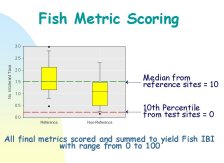 Graphic showing an example of fish metric scoring
