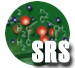 SRS Logo