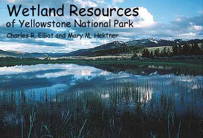Wetland Resources of Yellowstone National Park
