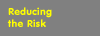 Reducing the Risk