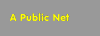 A Public Net