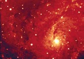 A galaxy in the constellation Cygnus - click for details