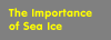 The Importance of Sea Ice