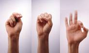 image-  American Sign Language spelling "NSF"